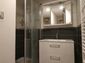 ChauriatにあるAux Rosiers Rougesの洗面台と鏡付きシャワーを備えたバスルーム