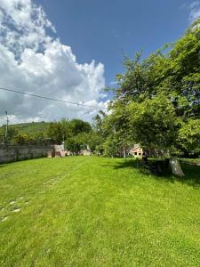 a grassy field with a picnic table and trees at Arpi GuestHouse Dilijan in Dilijan +3 photos