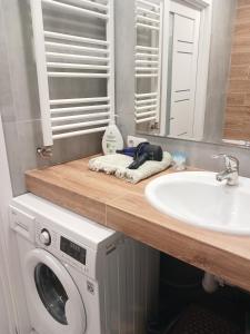 基希讷乌Comfort Zone Chisinau的带水槽和洗衣机的浴室