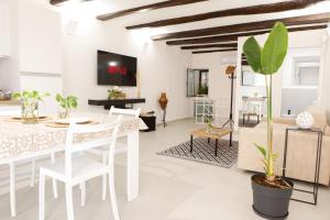 TV a/nebo společenská místnost v ubytování Suite tra Travi Antiche & Idromassaggio - Lusso Moderno nel Cuore di Terracina - 10' dal Mare - Wifi