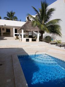 a swimming pool in front of a building with palm trees at Chez André Léon in Ngaparou