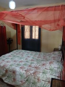 a bedroom with a bed with a mosquito net over it at Chez André Léon in Ngaparou