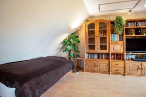 une chambre avec un lit et une étagère dans l'établissement Ferienwohnung Wittensee, à Bünsdorf