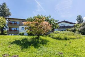 Foto sihtkohas Bad Bellingen asuva majutusasutuse Pappelhof galeriist