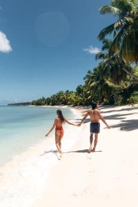 Příroda nedaleko rezortu + 100 fotografií