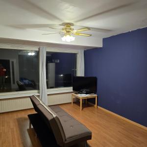 ein Wohnzimmer mit einer Couch und einem Deckenventilator in der Unterkunft Kodikas yksiö Heinolan keskustassa in Heinola