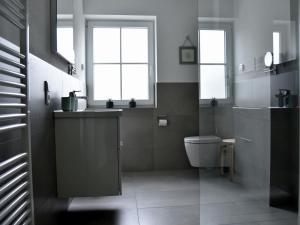 a bathroom with a toilet and a sink and two windows at Ferienwohnungen Vogelsang in Saalhausen +27 photos