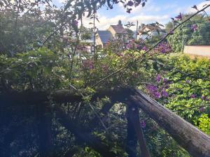 a garden with pink flowers on a wooden fence at Cabaña Punta Mogotes in Mar del Plata