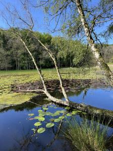 Příroda nedaleko prázdninového domu + 7 fotografií