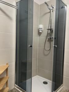 une douche avec une porte vitrée dans une salle de bain dans l'établissement WOLF HOUSE KLÍNOVEC, à Loučná pod Klínovcem 55 autres photos