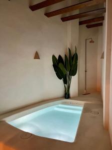 Bazén v ubytování Apartamento acogedor frente a Plaza de la Iglesia nebo v jeho okolí