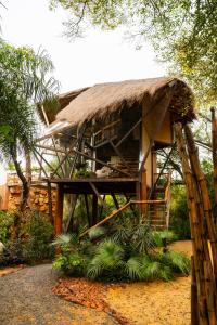 a house with a thatched roof and a tree at Satori Zen Club in Itauguá