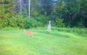 Plano de Madawaska Lodge-Cottage