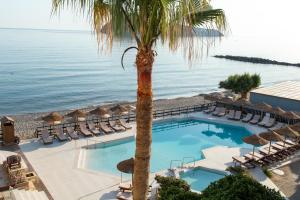 a resort with a palm tree and a swimming pool at Hotel Haris on the beach in Agia Marina Nea Kydonias
