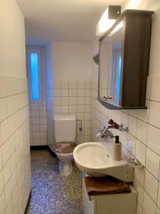 Un baño con inodoro, lavabo y espejo. en Lizard House, en Cevio 17 fotos más