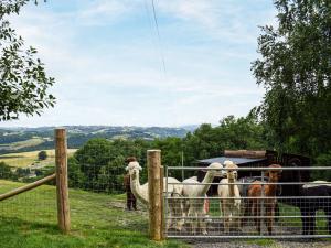 a group of animals standing behind a fence at Moonlight View - Uk35187 in Newtown
