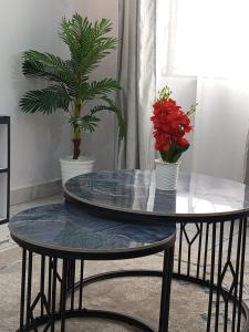 a table with two potted plants on top of it at Blessing homes in Mombasa