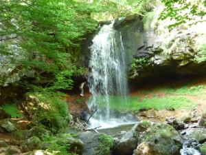 Gallery image of petunias in Vic-sur-Cère
