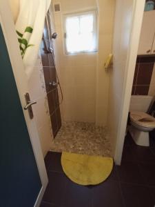 een badkamer met een douche en een geel tapijt bij petunias in Vic-sur-Cère