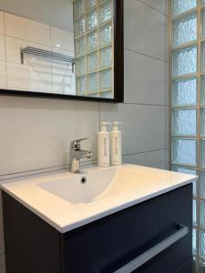 ファルケンブルグにあるBLESS Valkenburgの洗面台と鏡のあるバスルーム