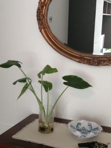 Fotografie z fotogalerie ubytování Suite Petit v destinaci Vairano Scalo