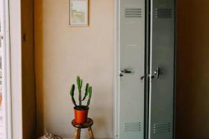 a cactus in a pot sitting next to a cabinet at 1 Bed Tiny House Sleeps 2 -Hot Tub -Coal Fireplace in Liglet +7 photos