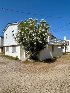 een wit huis met een boom ervoor bij Grand Chalet pour 6 à 8, wifi in Gruissan