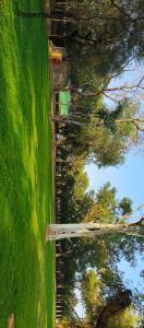 an aerial view of a field with trees and water at Estherea Bagh Ranthambhore Tiger Territory in Sawāi Mādhopur