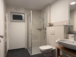 a bathroom with a shower and a toilet and a sink at Ferienwohnung Seezeit in Bodman-Ludwigshafen +7 photos
