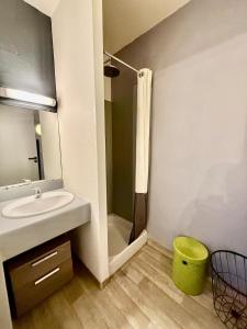 une salle de bain avec lavabo et douche dans l'établissement Studio 2 calme Av Georges Dumas - DABNB, à Limoges