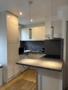 Η κουζίνα ή μικρή κουζίνα στο Appartement spacieux à 15mn de Paris