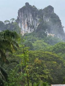 Φυσικό τοπίο κοντά σε αυτό το hostel