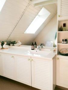 VedbølにあるNature Gem Near Haderslev With 160-Year-Old Beechのバスルーム(シンク、天窓付)