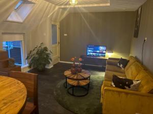 TV a/nebo společenská místnost v ubytování De Jantinahoeve