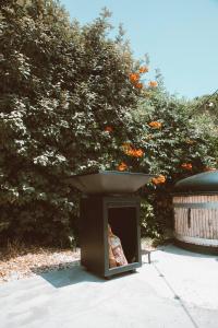 Vườn quanh Marselan - Gîtes Du Mas Des Jeux +5 ảnh