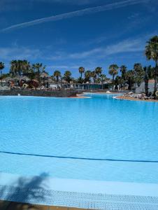 ein großer Pool neben einem Strand mit Palmen in der Unterkunft Oasis Duna Casa Maho in Corralejo