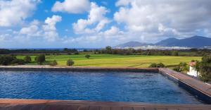 a swimming pool with a view of a field and mountains at Stagnolo in Capo Toro