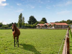 a brown horse standing in a field next to a house at Cedar Lodge in Old Buckenham