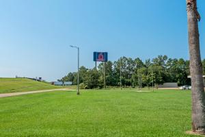 a street sign in a park next to a palm tree at Studio 6 Hammond, LA I12 I55 in Hammond +17 photos