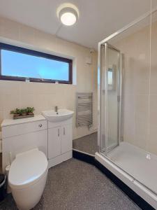 a bathroom with a toilet and a shower and a sink at Russet Grove in Earlham