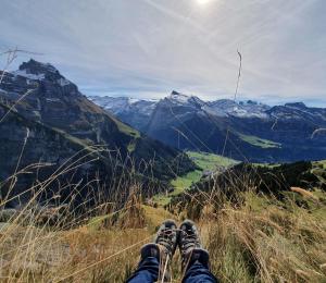 Φυσικό τοπίο κοντά σε αυτό το ξενοδοχείο +26 φωτογραφίες