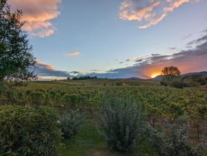 un campo con una puesta de sol en el fondo en Ferienwohnungen Bella Vita, en Harthausen