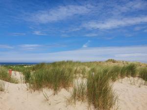 a field of tall grass on a sandy beach at Zandput 490 - Camping de Zandput in Vrouwenpolder +6 photos