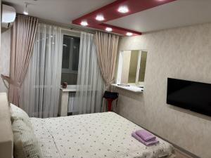 Μια τηλεόραση ή/και κέντρο ψυχαγωγίας στο Квартира проспект Науки Центр +3 φωτογραφίες