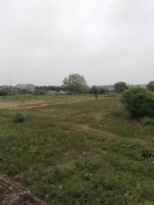 a field of grass with trees in the distance at Omkar Homestay in Prayagraj