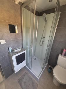 un baño con ducha y WC en Petit studio à la campagne, en Angerville-la-Martel