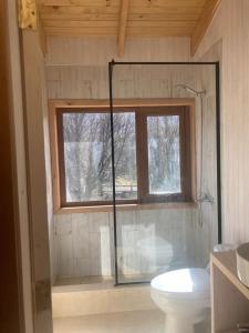 a bathroom with a shower and a toilet and a window at Preciosa casa V. Cerro Castillo cercana Parque in Villa Cerro Castillo