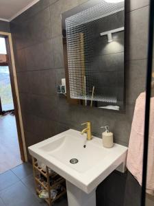 ein Badezimmer mit Waschbecken und Spiegel in der Unterkunft Wildcabinpanoramic Marisel in Mărişel