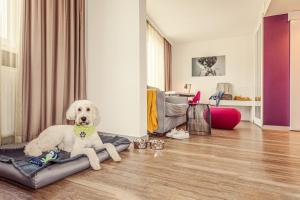 a white dog sitting on a dog bed in a living room at Hotel Indigo - Dusseldorf - Victoriaplatz by IHG in Düsseldorf