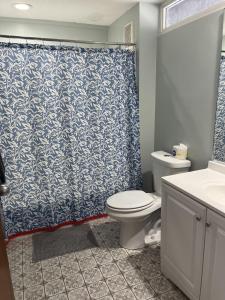 a bathroom with a toilet and a shower curtain at Unit 225 Beautiful Cedar key in Cedar Key